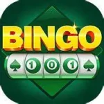 Bingo 101 logo with bold, colorful lettering.